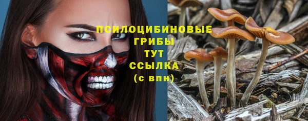 стафф Володарск