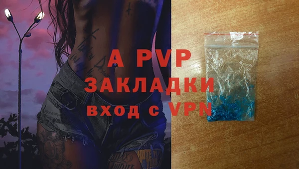 стафф Володарск
