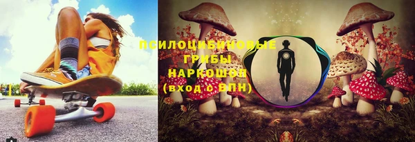 стафф Володарск